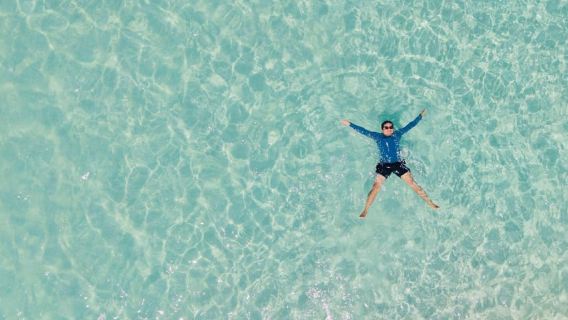 Sydney: Jervis Bay Day Trip with Wild Kangaroos & Beach