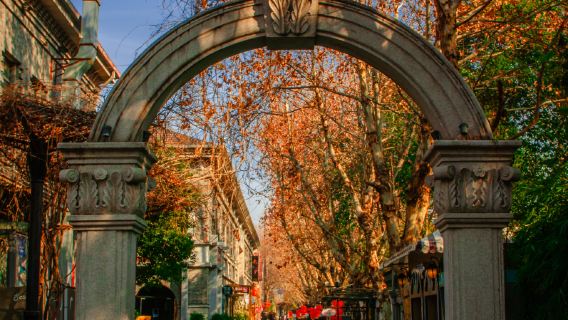 Nanjing 1-day tour | Republic of China wutong tree atmosphere trip moments, old town stroll with optional guide
