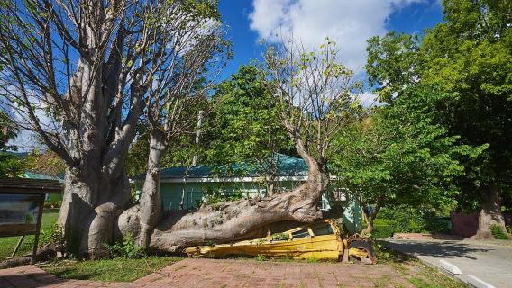 Ultimate Dominica Escape Nature Waterfalls Spa All Inclusive