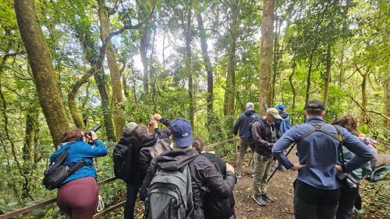 Monteverde: Cloud Forest Night Tour with Pablo