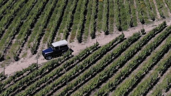 Lamego: Quinta da Portela de Baixo Winery Tour and Tasting