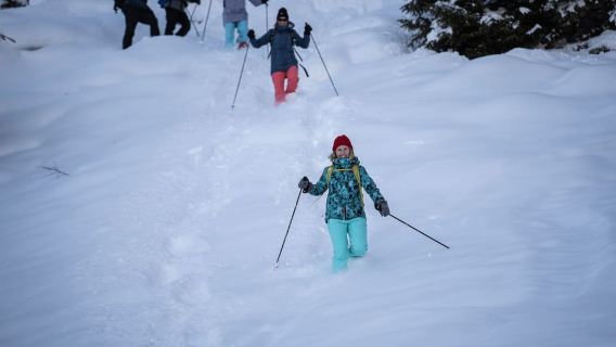 From Interlaken: Wetterhorn Trail Snowshoe Hiking Tour
