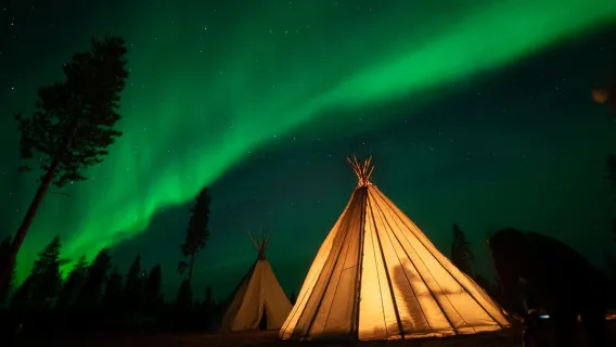 Finnland Rovaniemi Nordlicht-Nachtausflug|optional Lagerfeuer-Grillen/Tierschlitten/Eisschwimmen