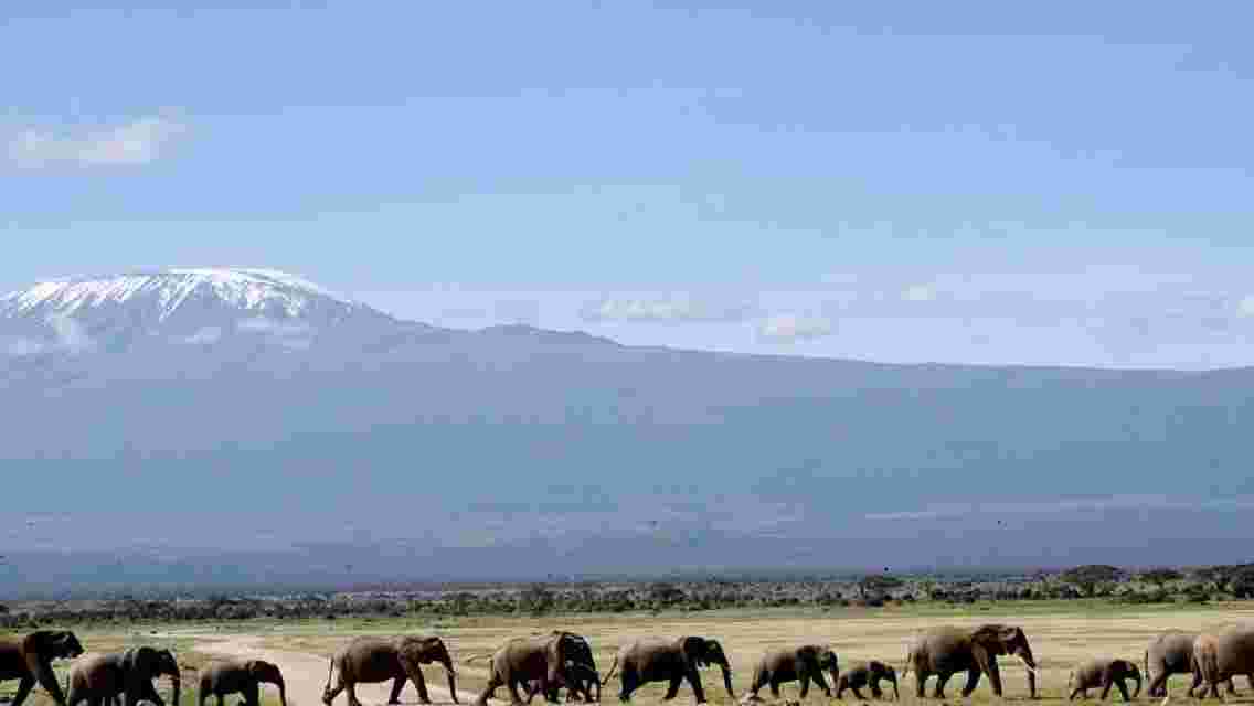 6 Days Amboseli, Lake Naivasha & Masai Mara Safari on 4x4 Jeep