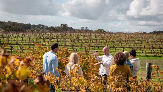 BusseltonTours