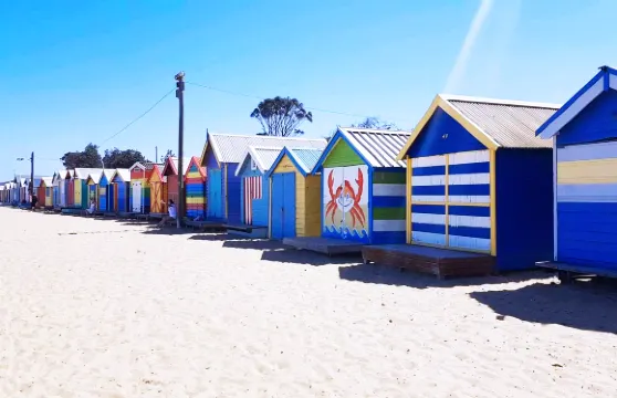 墨爾本吉朗莫寧頓+亞瑟王座纜車+彩虹小屋+索倫托渡輪一日遊