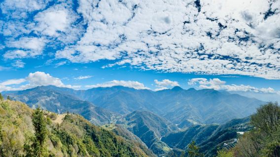 Tour 1 ngày Nông Trại Cừu Cingjing + Hợp Hoan Sơn từ Đài Trung | Tour ghép mua 1 tặng 1