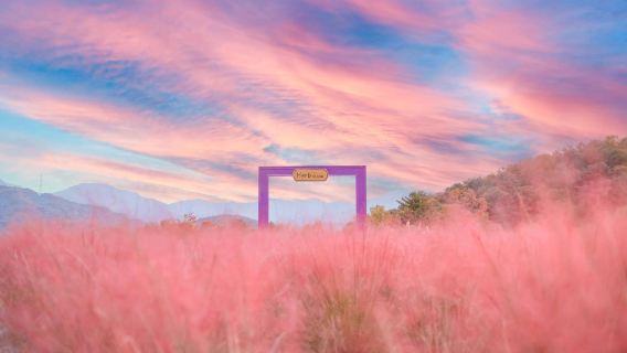 Pocheon 1-day tour: Sanjung Lake + Gukdonggeori Waterfall + Pocheon Herb Island