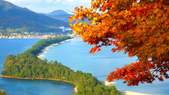 Tour 1 ngày tàu hỏa trên biển Chihiro của Kyoto Tango Railway, cầu trời Ama-no-Hashidate và nhà thuyền Iine