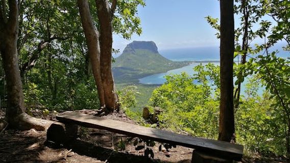 MauritiusTours
