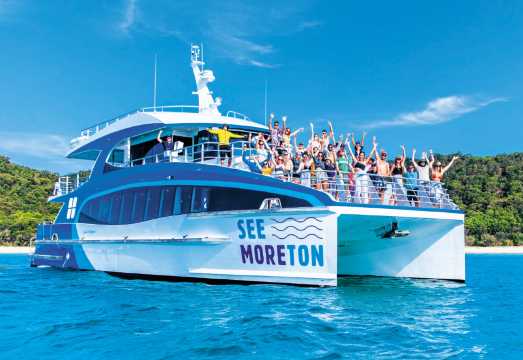 Moreton Island Dolphin and Tangalooma Wrecks Cruise: What to Expect