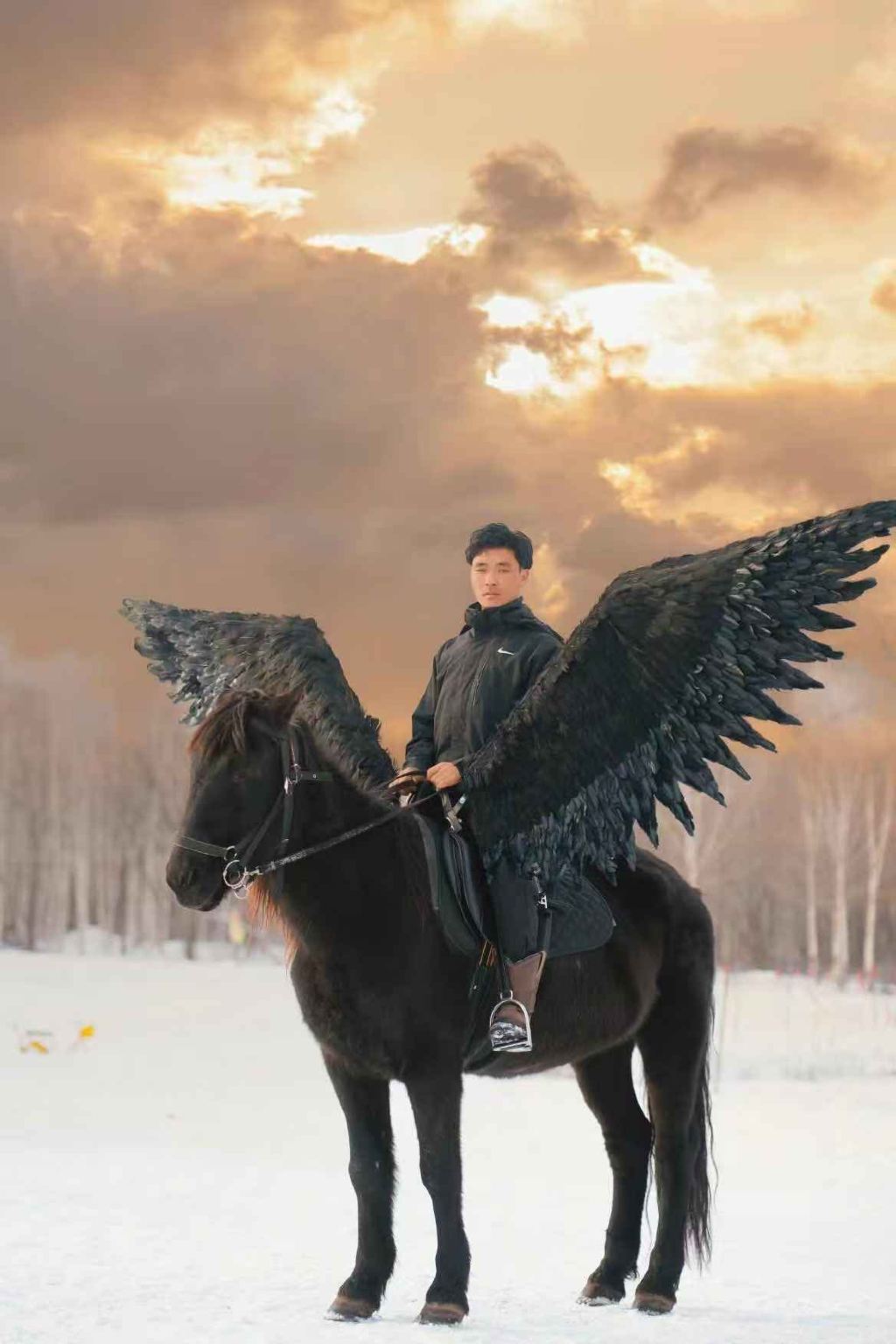 黑龍江哈爾濱尚志市黑獅森林雪騎公園【專業教練指導+飛馬拍照體驗+騎行穿越白樺林】