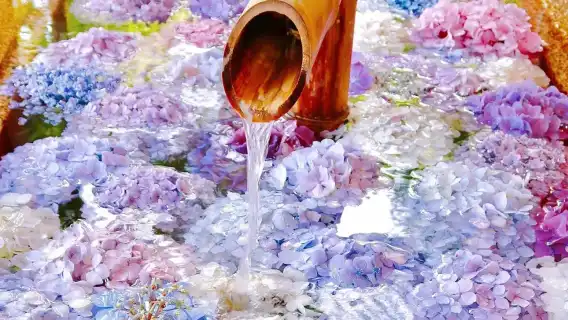 日本横浜+鎌倉ワンデーツアー|江ノ電レトロ電車+港のロマンチックな夜景