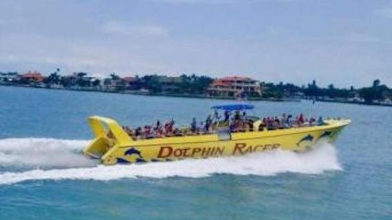 TampaExperiences