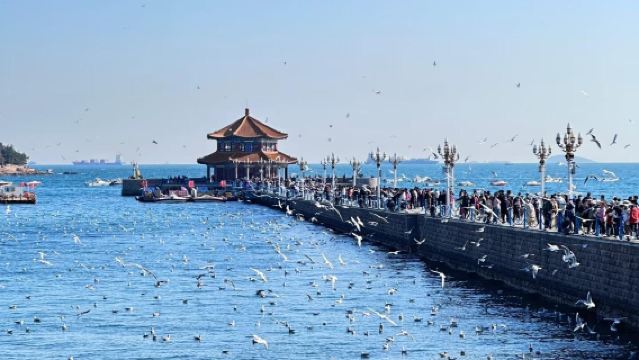 Tsingtao Beer Museum + Xiaomai Island + May Fourth Square + Badaguan 1-day tour - Japanese/Korean language service