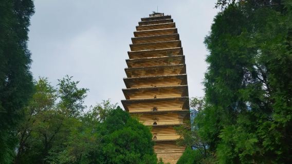 Songshan Zhongyue Temple-Shaoshique+Songyang Academy-Fawang Temple one-day tour with chartered private charter , English service available