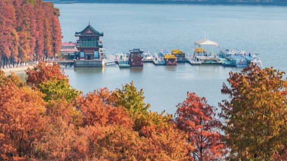 WuhanExperiences