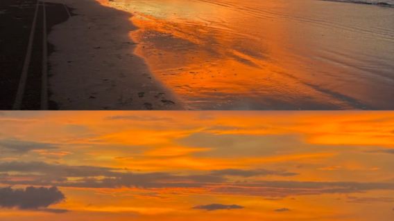 沙巴亞庇天空之鏡紅樹林螢火蟲一日遊