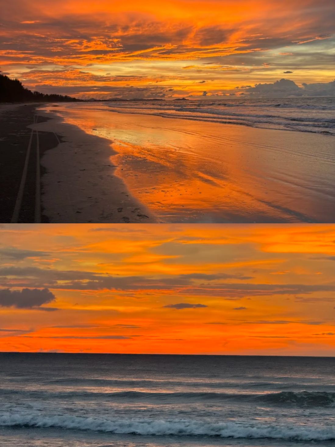 沙巴亞庇天空之鏡紅樹林螢火蟲一日遊