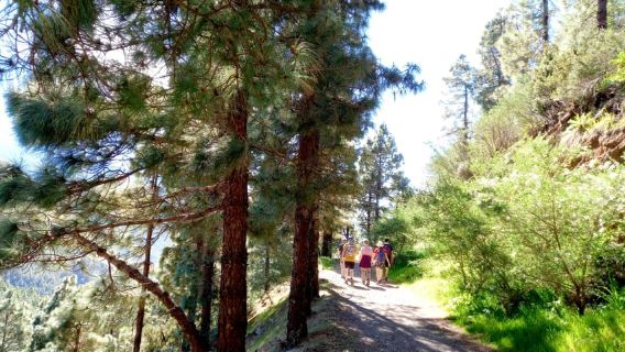 Tenerife: Hiking Above the Village of Masca