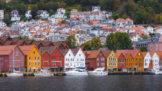 Bergen: Ferrocarril de Flåm, Tour por la Aldea Vikinga con Crucero por el Fiordo