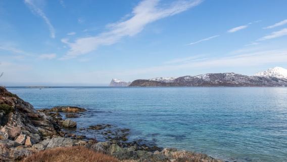 Tromso: tour panoramico all-inclusive dei fiordi artici e di Sommarøy