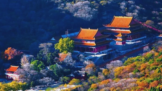 Mobil sewa kendaraan pribadi Huaibei, pemandu wisata, penerjemah, pendamping lokal, penjemputan, pameran pariwisata, inspeksi bisnis, pendamping medis