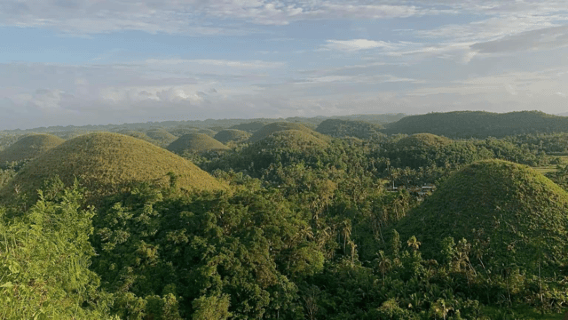 Recorrido por las colinas de chocolate de Bohol con almuerzo buffet en el río Loboc