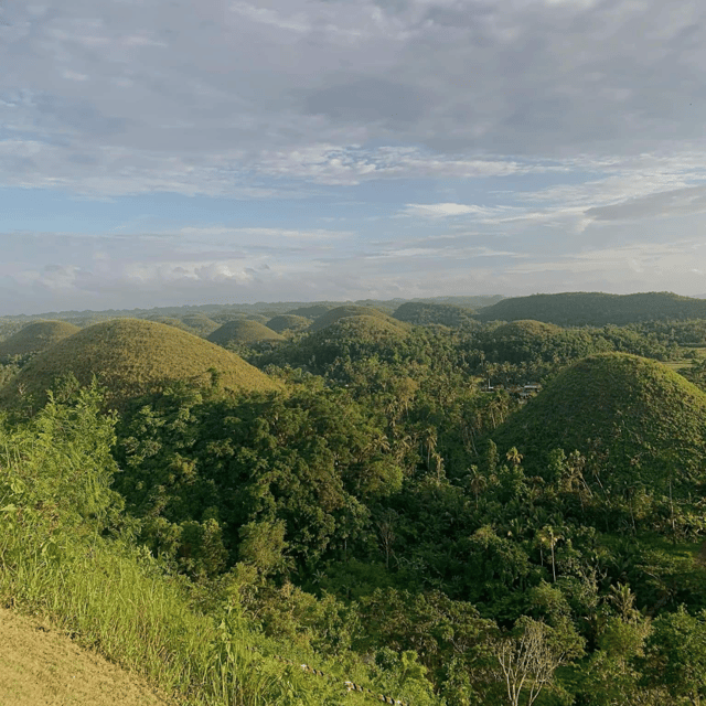 Bohol Chocolate Hills Tour with Loboc River Lunch Buffet