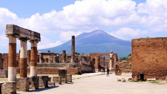 Desde Nápoles: excursión de un día a Pompeya y al Monte Vesubio con almuerzo