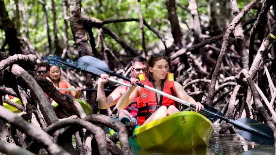 Langkawi: Kayak tra le mangrovie di Farly