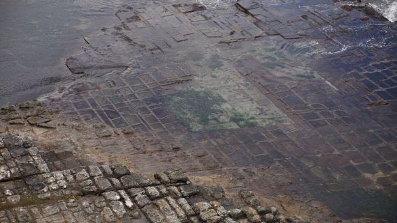 Tasmania|Tasman Peninsula Full-Day Escapes from Hobart