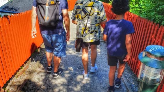 Stoccolma: tour a piedi dei giardini e dei parchi di Södermalm Allotment