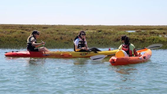 Nationalpark Ria Formosa: Kajaktour