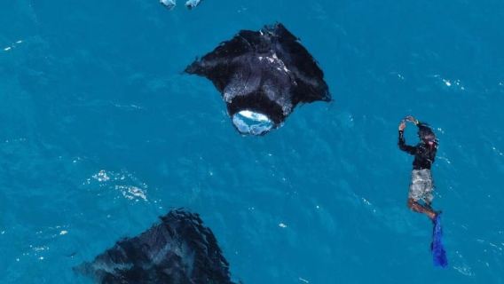 Từ Bali: Lặn biển Nusa Penida và Tour Bờ Tây