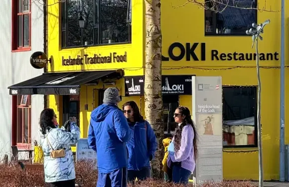 冰島雷克雅未克+冰河湖+維克一日遊/行程可調-可定制多日