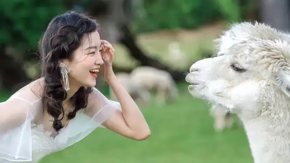 Queenstown travel photography in New Zealand[Global Europe New Zealand Queenstown travel photographer wedding photography family portraits travel photography tour shooting]