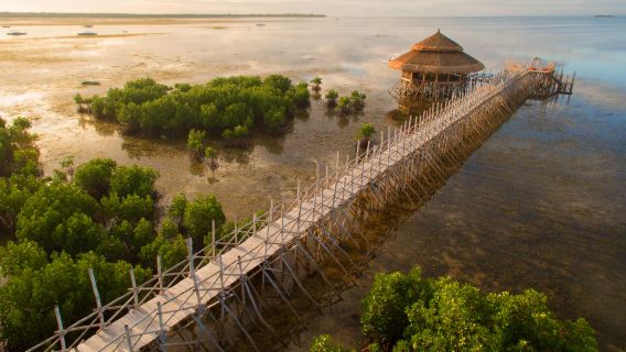 North Zen Villas: uso diurno