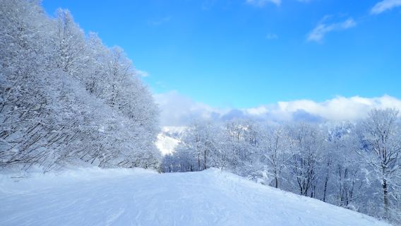 北海道サホロ プライベートスキーレッスン【国際認定プロコーチ|中国語/英語対応】