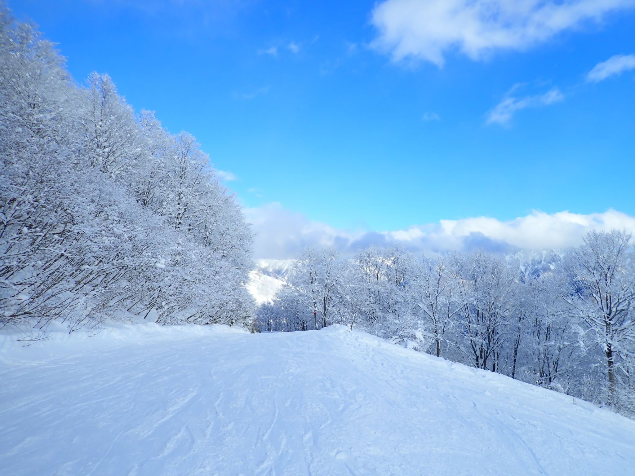 คอร์สเรียนสกีส่วนตัวที่ซาโฮโร ฮอกไกโด [ผู้ฝึกสอนมืออาชีพได้รับการรับรองระดับนานาชาติ | สอนเป็นภาษาจีน/อังกฤษ]