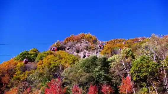 Changchun La Fa Mountain National Forest Park 1-day tour|Explore the mysterious mountains of Guandong and unlock geological wonders from a billion years ago
