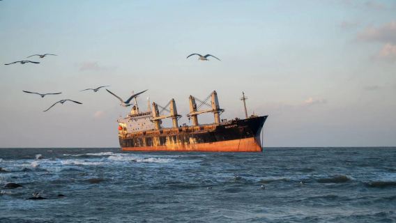 單人68大巴團網紅線【單一票價】