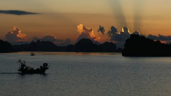 From Cat Ba: Experience the Sunset and Magical Bioluminescence plankton Night Kayak Tour
