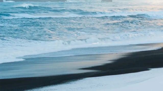 Reykjavik City Attractions + Viðey Island Eco Route - Private Charter Available - Top Pick