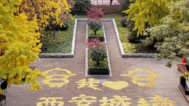 西安秦始皇帝陵博物院（兵馬俑）一日遊【精品私家團·含門票】