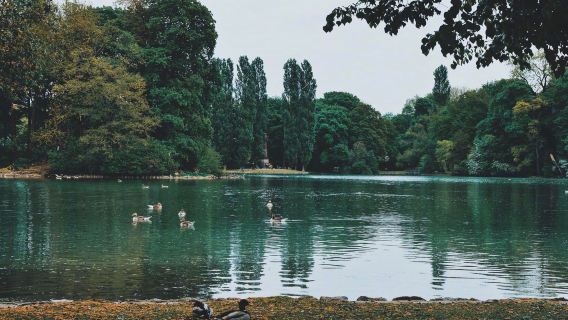 Marienplatz + Munich Residence + Siegestor + Frauenkirche + English Garden
