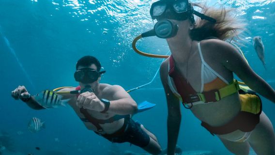 Chankanaab Beach Adventure Park: Geführtes Schnorchelabenteuer