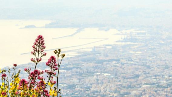 Vesuv: Ticket ohne Anstehen + Hin- und Rückfahrt ab Neapel