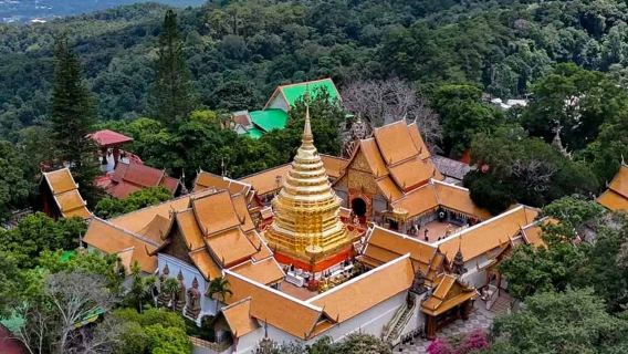 Chiang Mai Doi Suthep/Chiang Mai Safari Day Tour