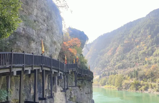 四川廣元唐家河國家級自然保護區+明月峽包車一日遊可中英文服務
